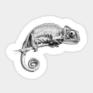 Chameleon Art Sticker